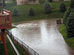 IMG_1920