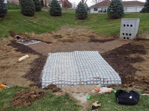 S Pond 2 Nov 2018 - 28