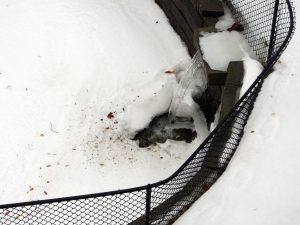 IMG_3002