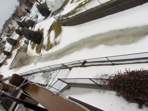 IMG_3003