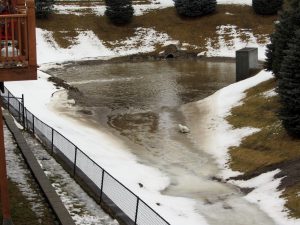 IMG_3015