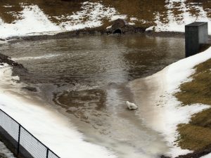 IMG_3016
