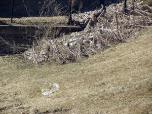 IMG_3028