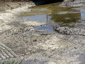 IMG_3032