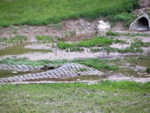 IMG_3195
