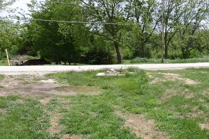 Berm @ SORoad 5-29-19 - 1