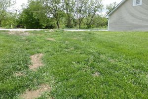 Berm @ SORoad 5-29-19 - 2