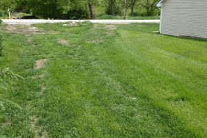 Berm @ SORoad 5-29-19 - 3