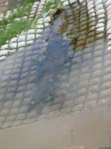 Flexamat Damages 5-29-19 - 08