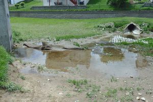 W (Tipton) Inlet to Outlet  5-29-19