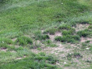 IMG_3783