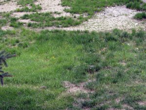 IMG_3784