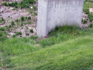 IMG_3785