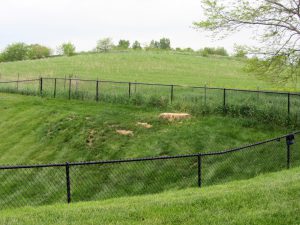 IMG_3837