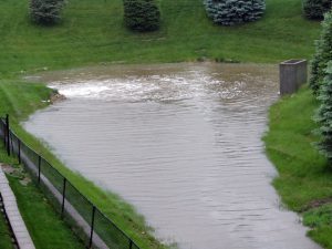 IMG_3839