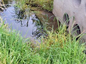 IMG_4177