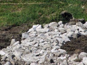 IMG_4540