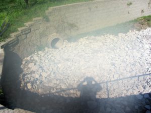 IMG_4544