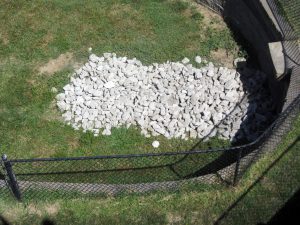 IMG_4574