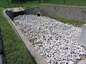 IMG_4585