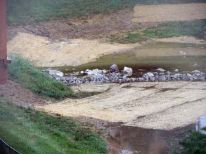 IMG_4592