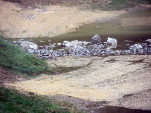 IMG_4594