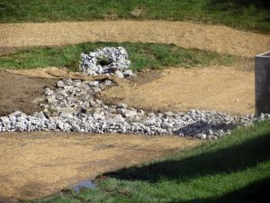 IMG_4597