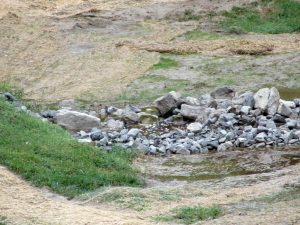 IMG_4601