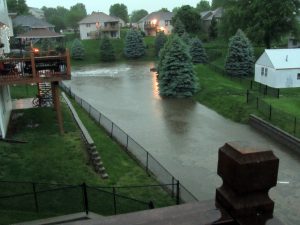 IMG_8014